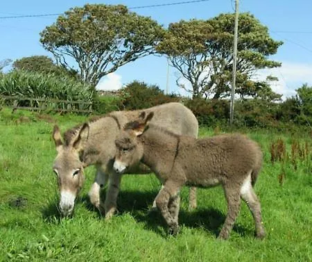 Holiday home Cleggan Beach Galway